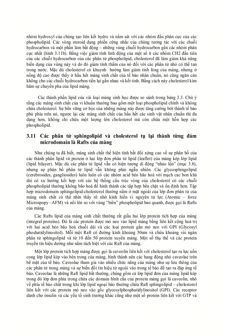 image for page Lipit