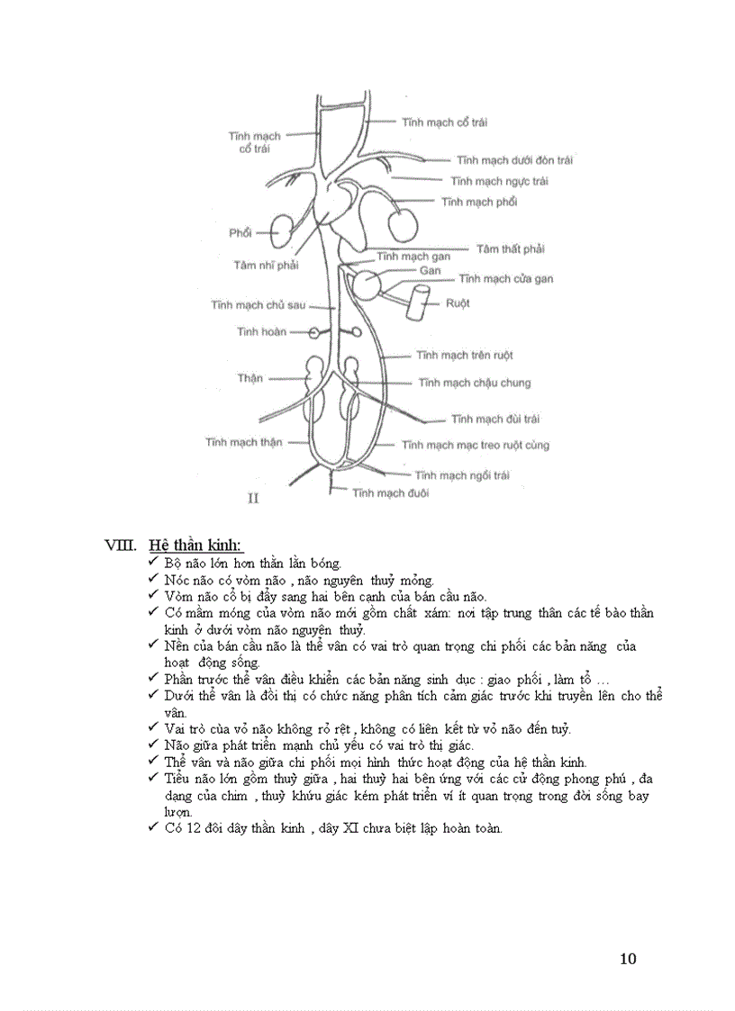 image for page Lớp chim