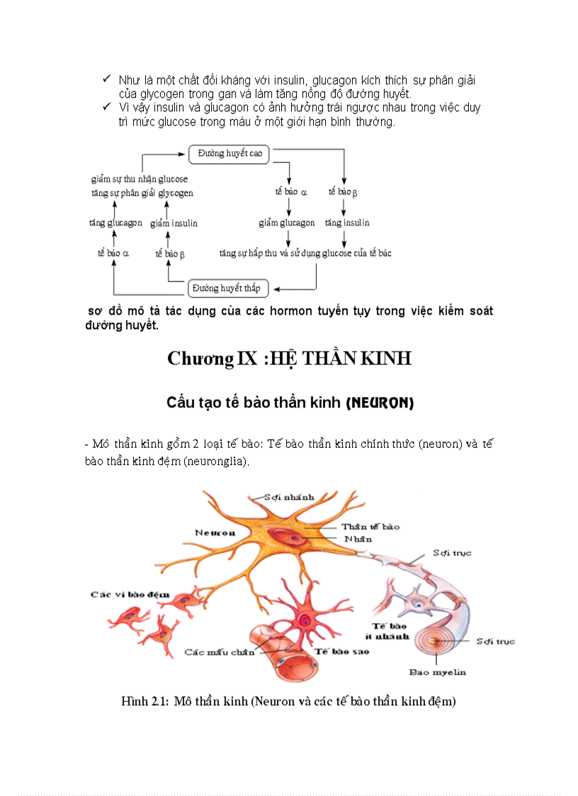 image for page Mô tế bào