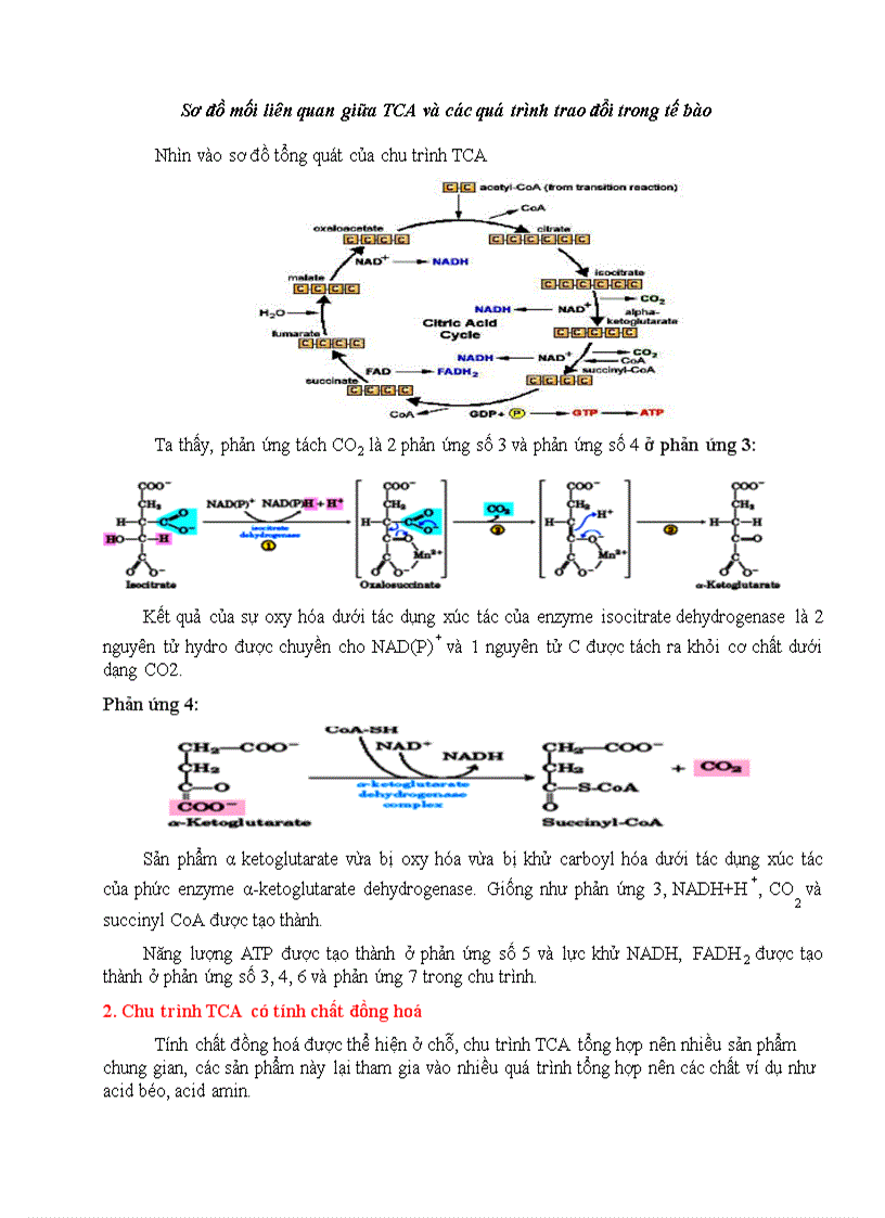 image for page Một số câu hỏi hoá sinh