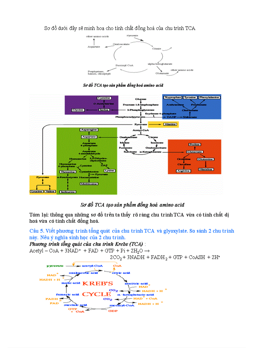 image for page Một số câu hỏi hoá sinh