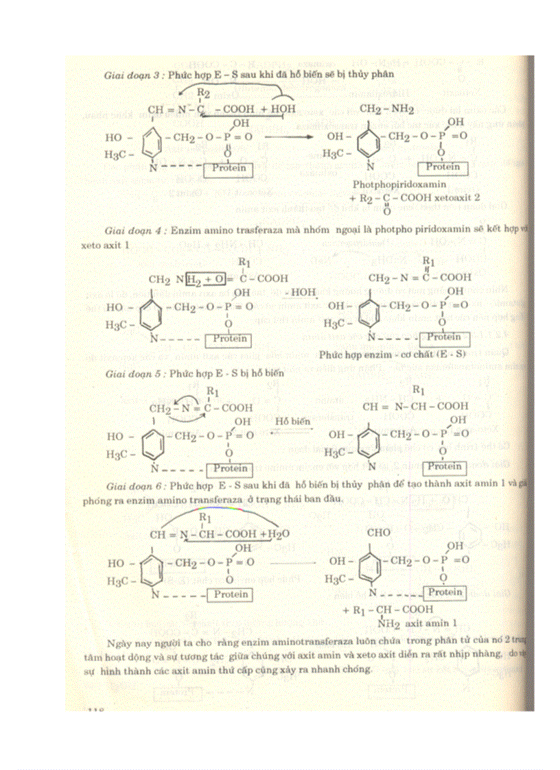 image for page Một số câu hỏi hoá sinh