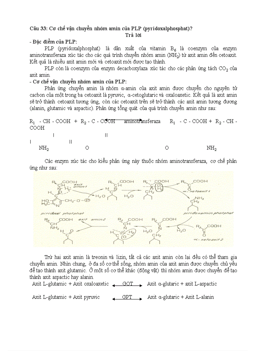 image for page Một số câu hỏi hoá sinh