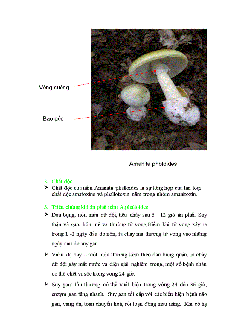 image for page Mot so loai nem doc