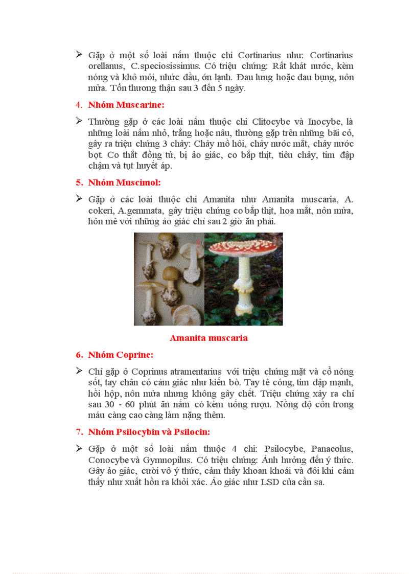 image for page Mot so loai nem doc