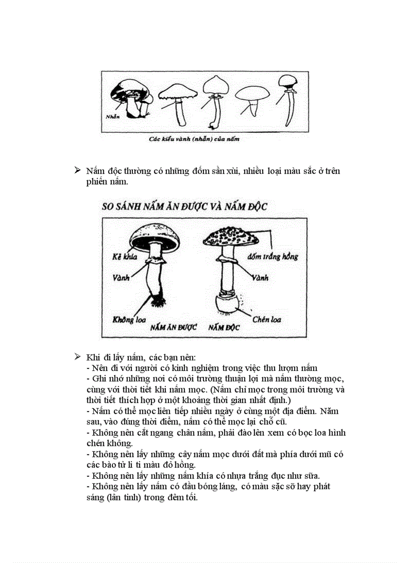 image for page Mot so loai nem doc