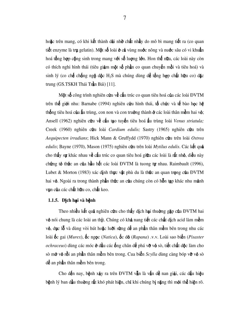 image for page Nghiên cứu đặc điểm sinh học sinh sản và tiến hành thử nghiệm sinh sản nhân tạo sò mồng Váticadium flavum