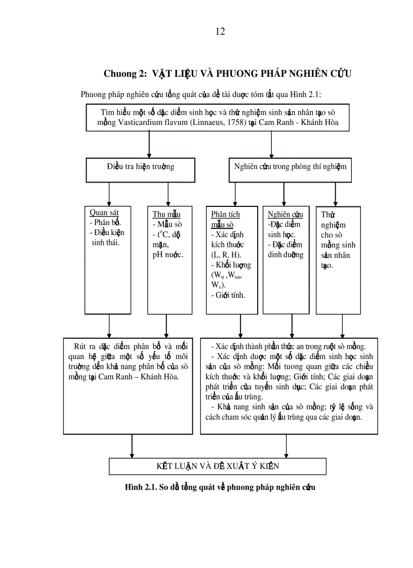 image for page Nghiên cứu đặc điểm sinh học sinh sản và tiến hành thử nghiệm sinh sản nhân tạo sò mồng Váticadium flavum