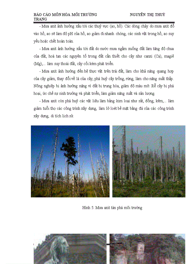 image for page Nguyên cứu mưa axit