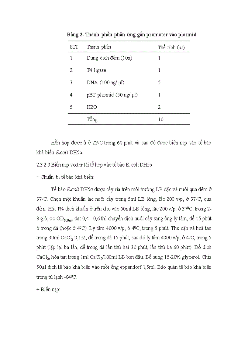 image for page Phan lap promoter