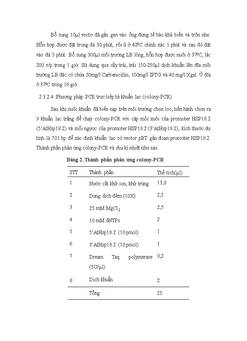 image for page Phan lap promoter