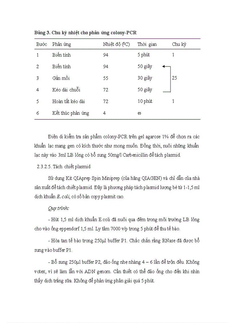 image for page Phan lap promoter