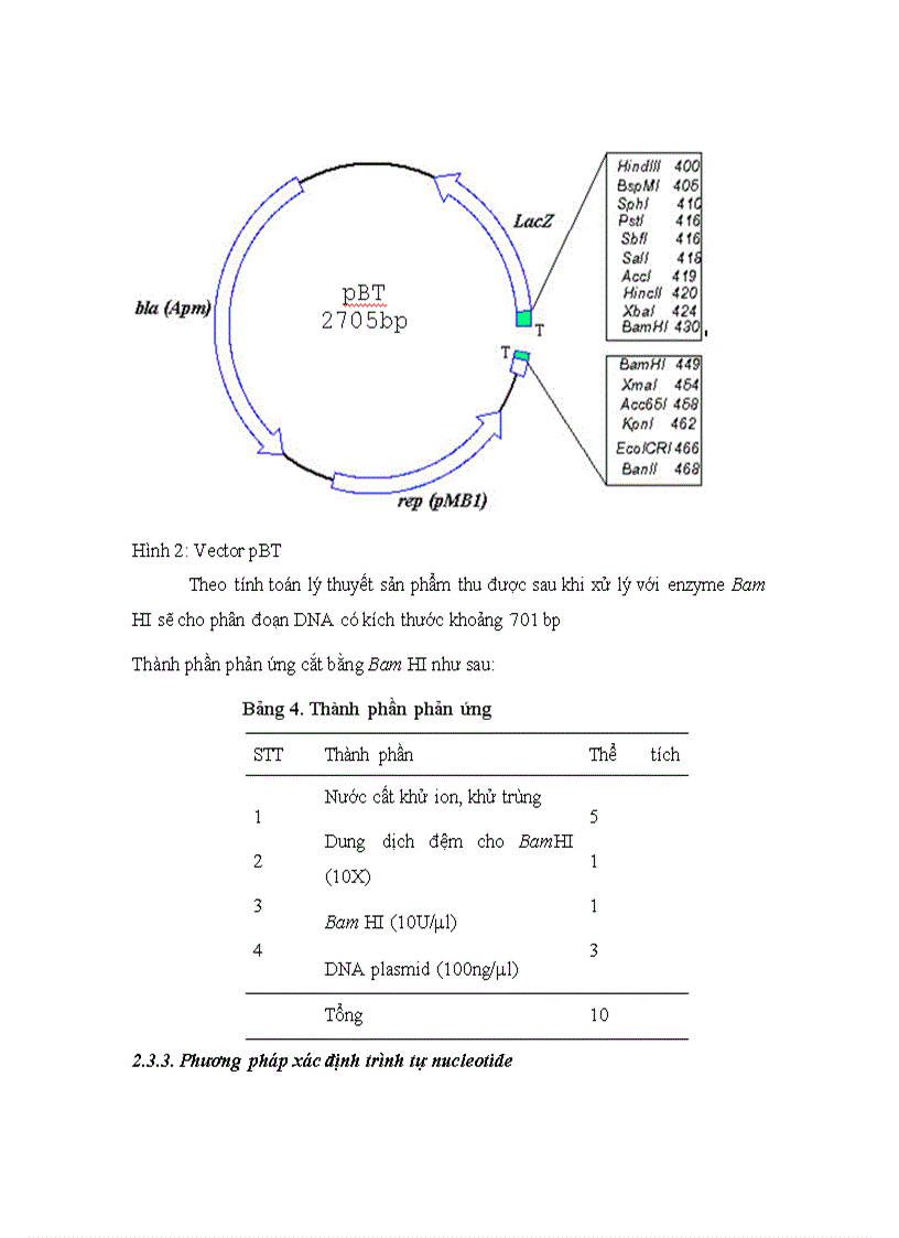 image for page Phan lap promoter