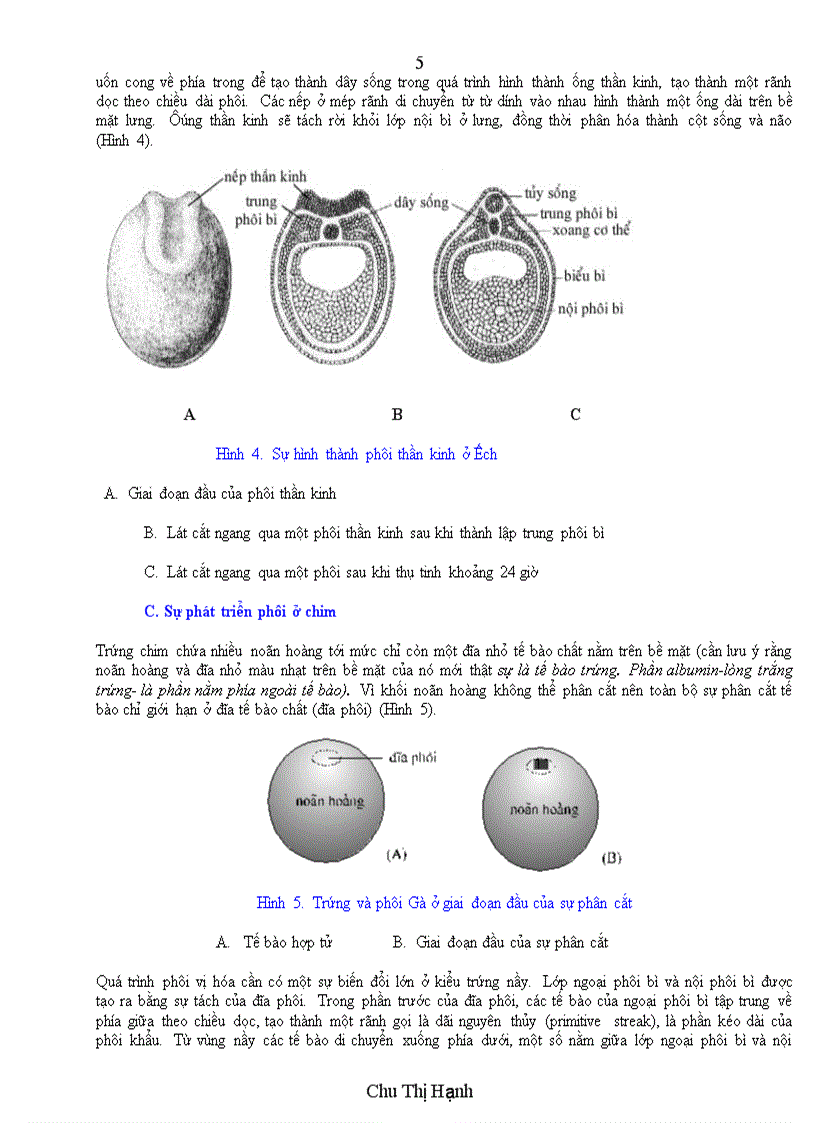 image for page Phát triển phôi