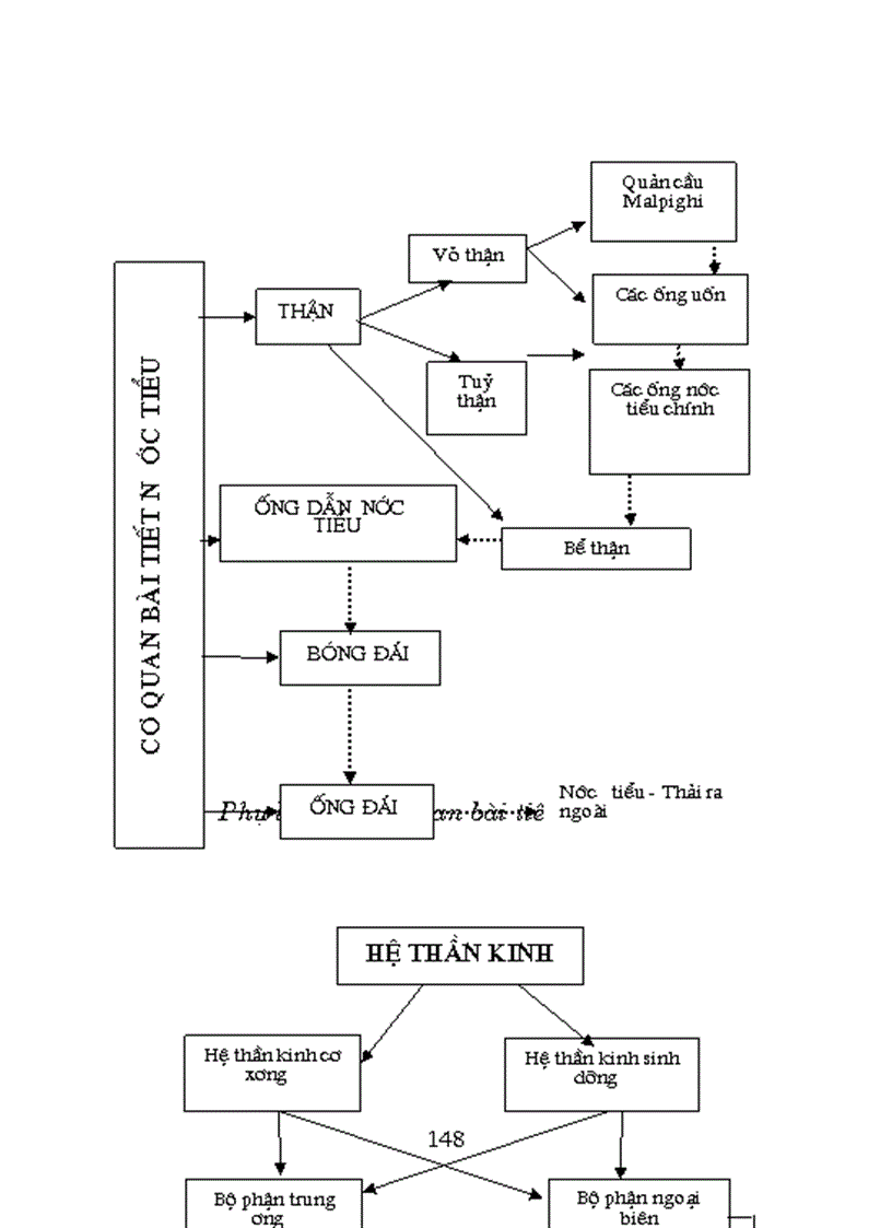 image for page Phương pháp grap trong dạy học Sinh học