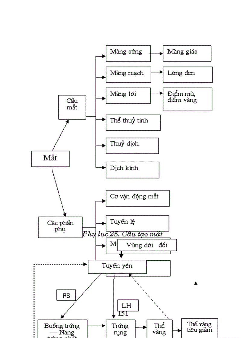 image for page Phương pháp grap trong dạy học Sinh học