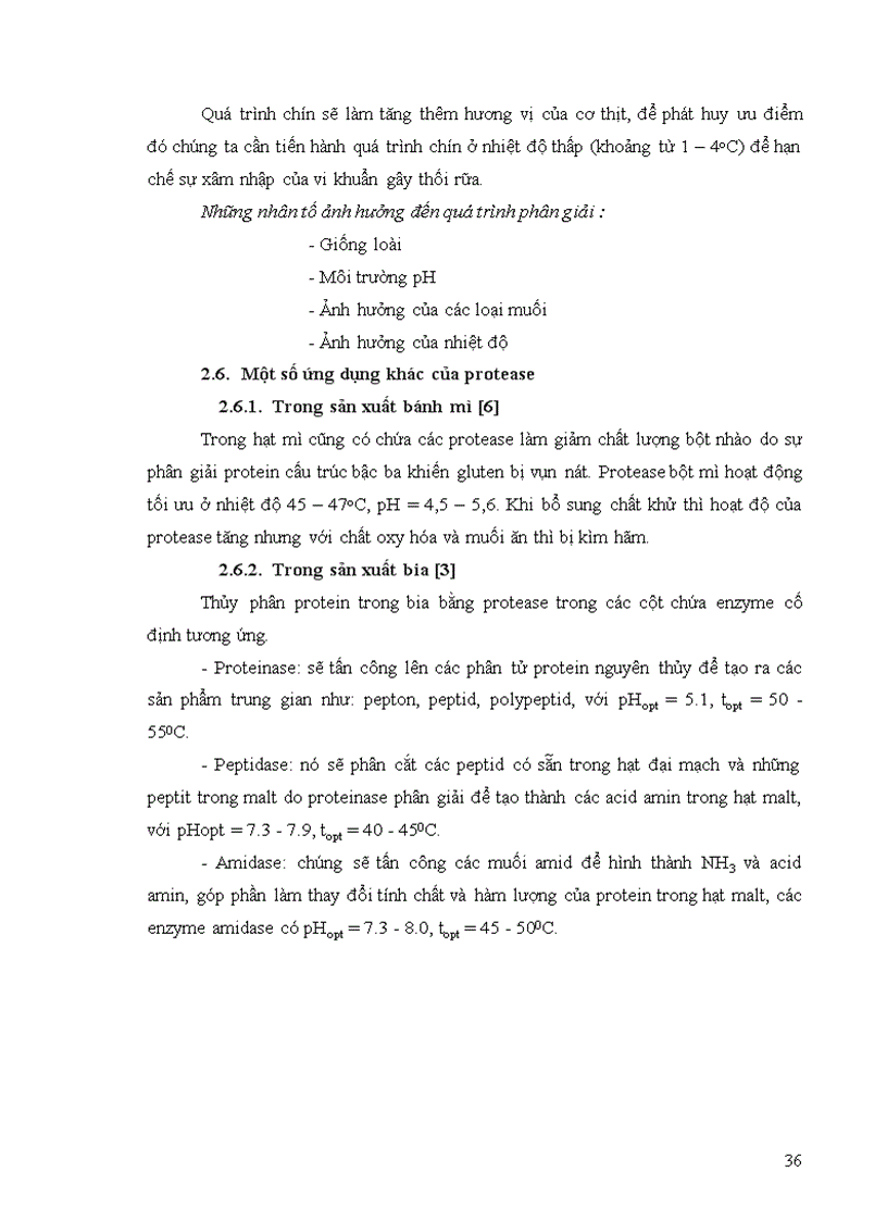 image for page Protease