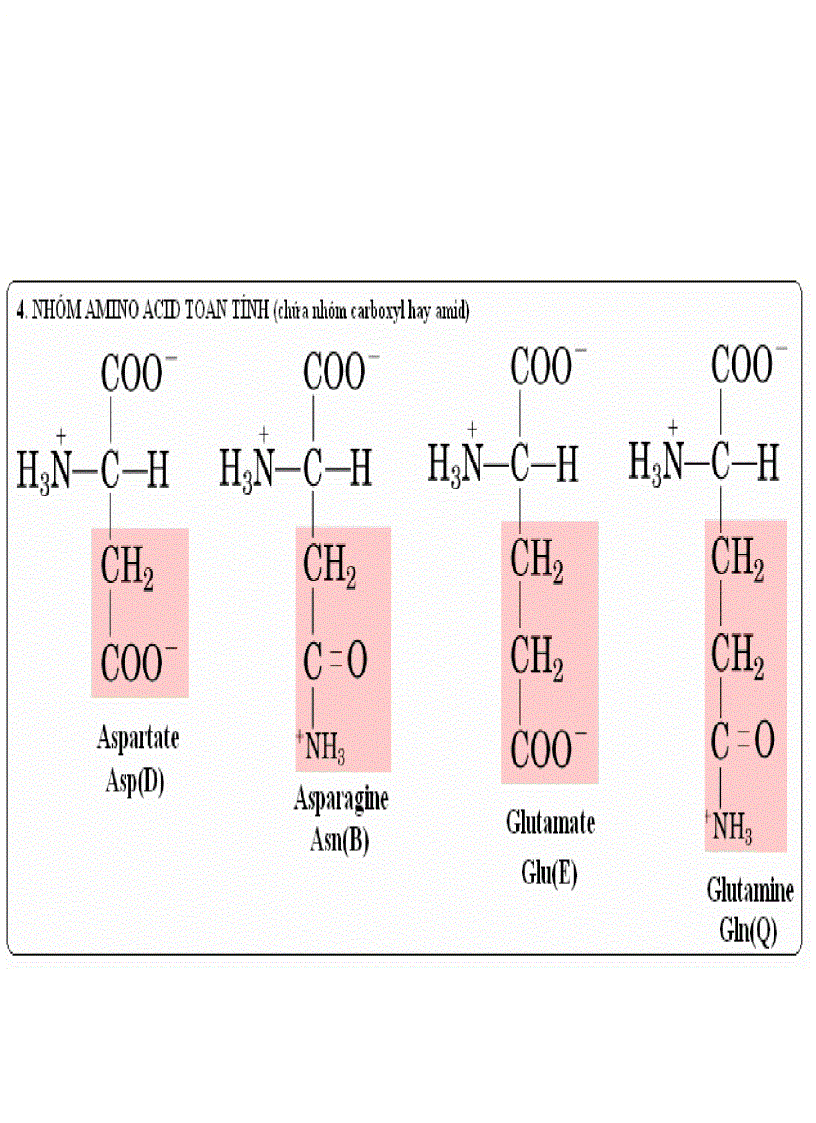 image for page Protein