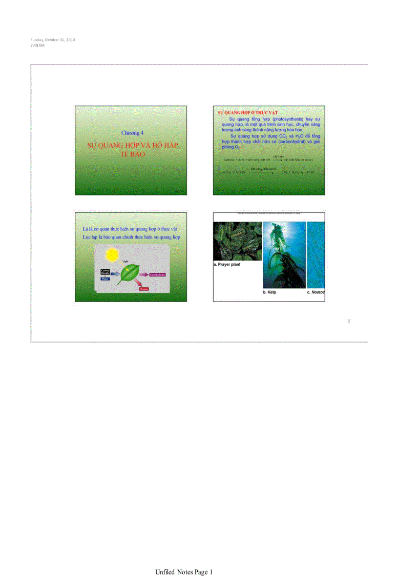 image for page Quang hợp và hô hấp