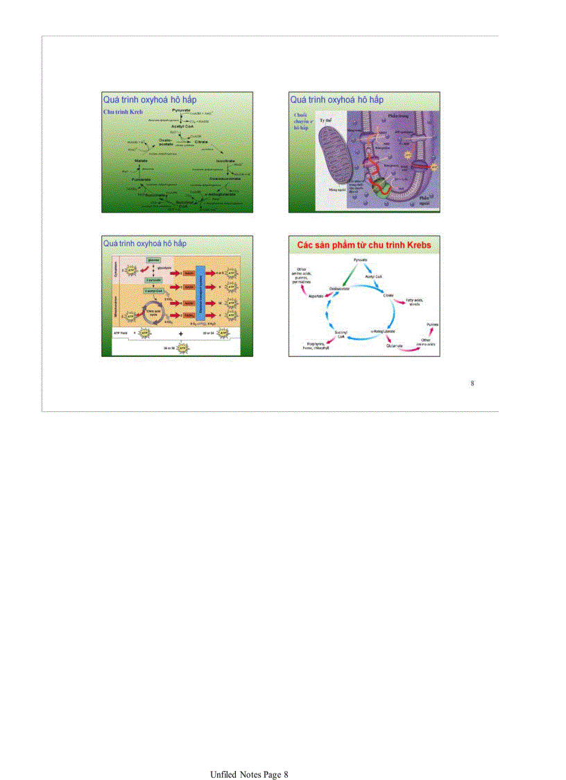 image for page Quang hợp và hô hấp