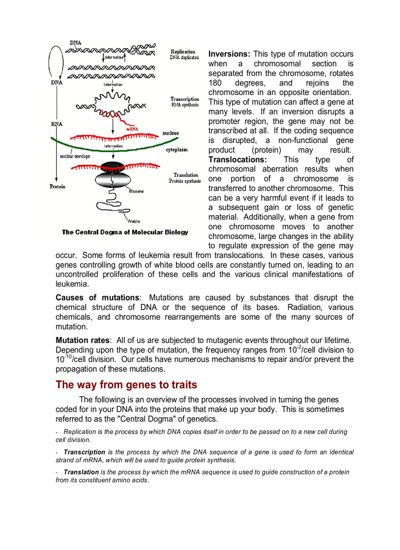 image for page Scientific background of genetics