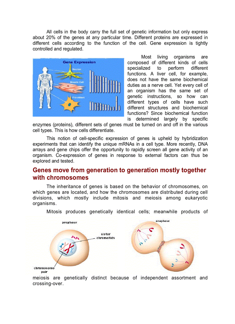 image for page Scientific background of genetics