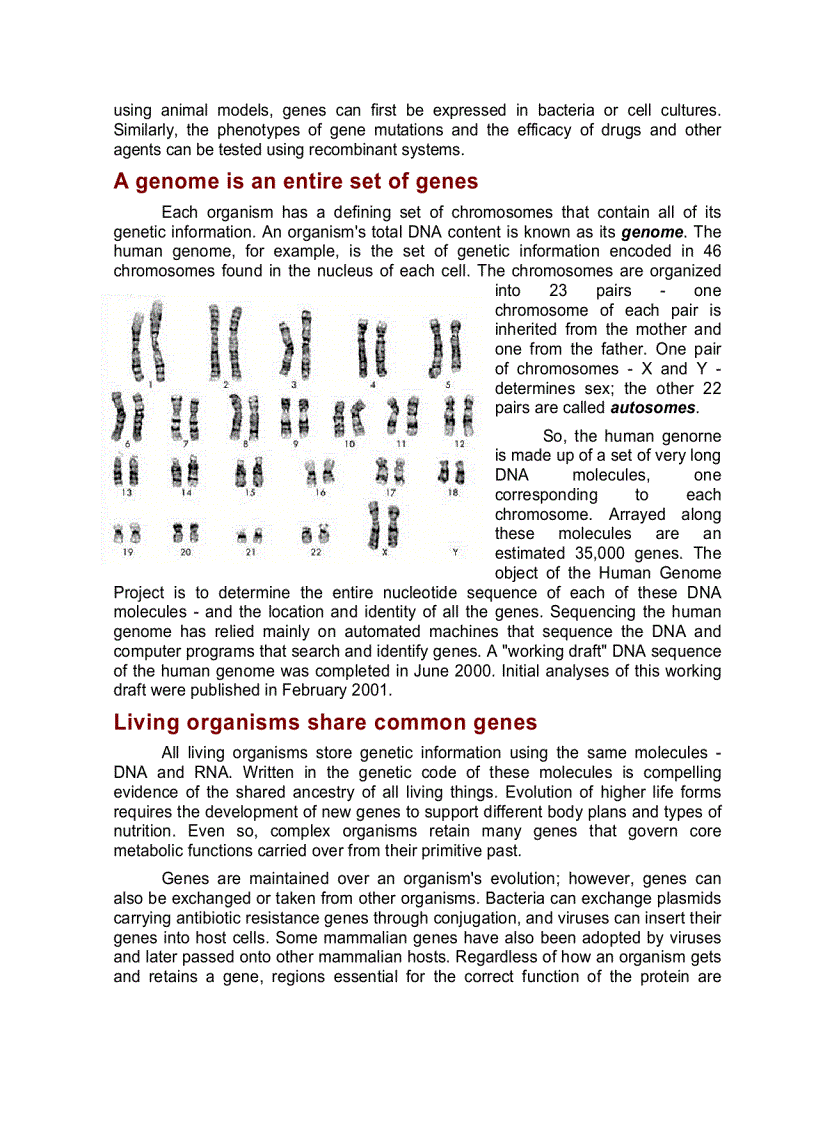 image for page Scientific background of genetics