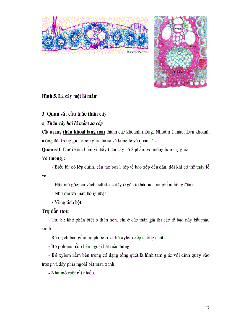 image for page Sinh lý thực vật