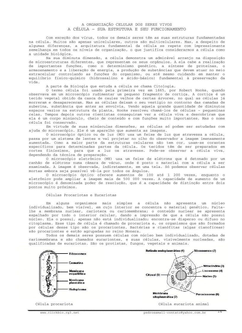 image for page Sinh học đại cương 1 Biologia geral 1