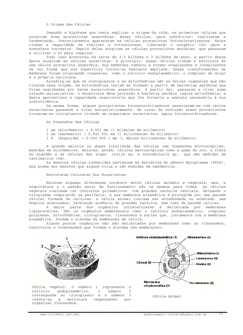 image for page Sinh học đại cương 1 Biologia geral 1