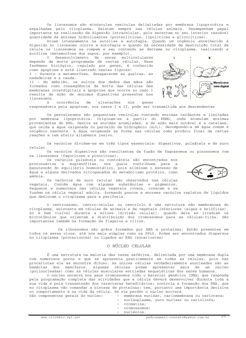 image for page Sinh học đại cương 1 Biologia geral 1