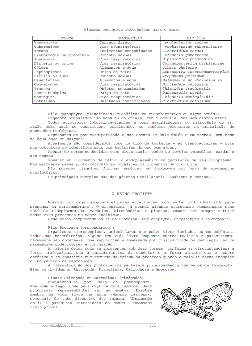 image for page Sinh học đại cương 2 Biologia geral 2