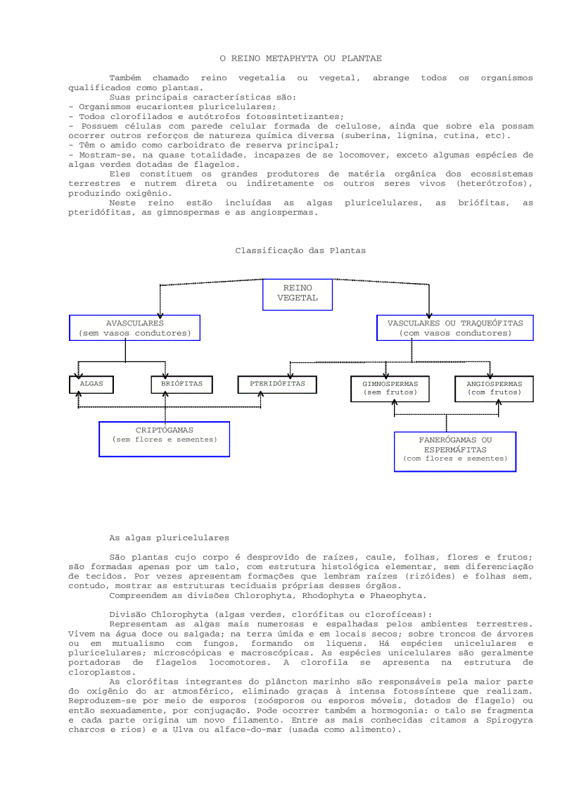 image for page Sinh học đại cương 2 Biologia geral 2