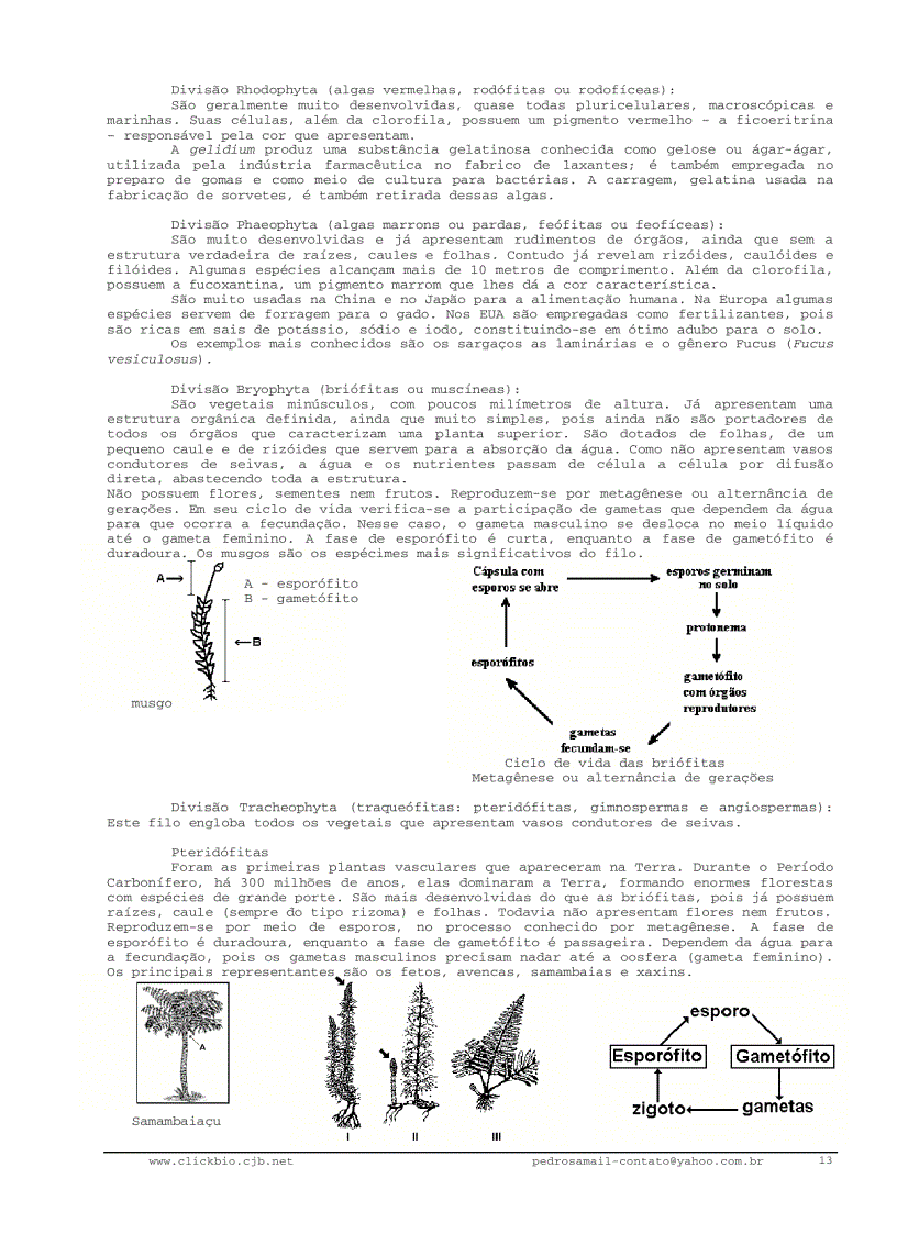 image for page Sinh học đại cương 2 Biologia geral 2