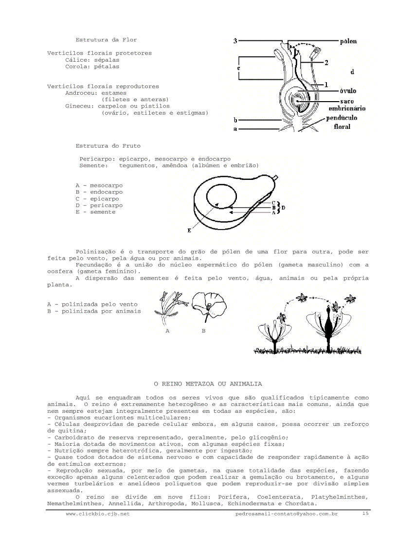 image for page Sinh học đại cương 2 Biologia geral 2