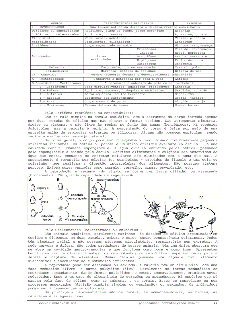 image for page Sinh học đại cương 2 Biologia geral 2