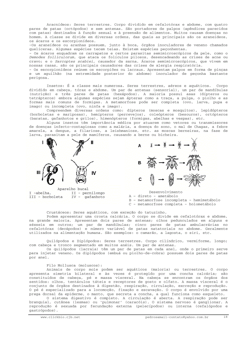 image for page Sinh học đại cương 2 Biologia geral 2