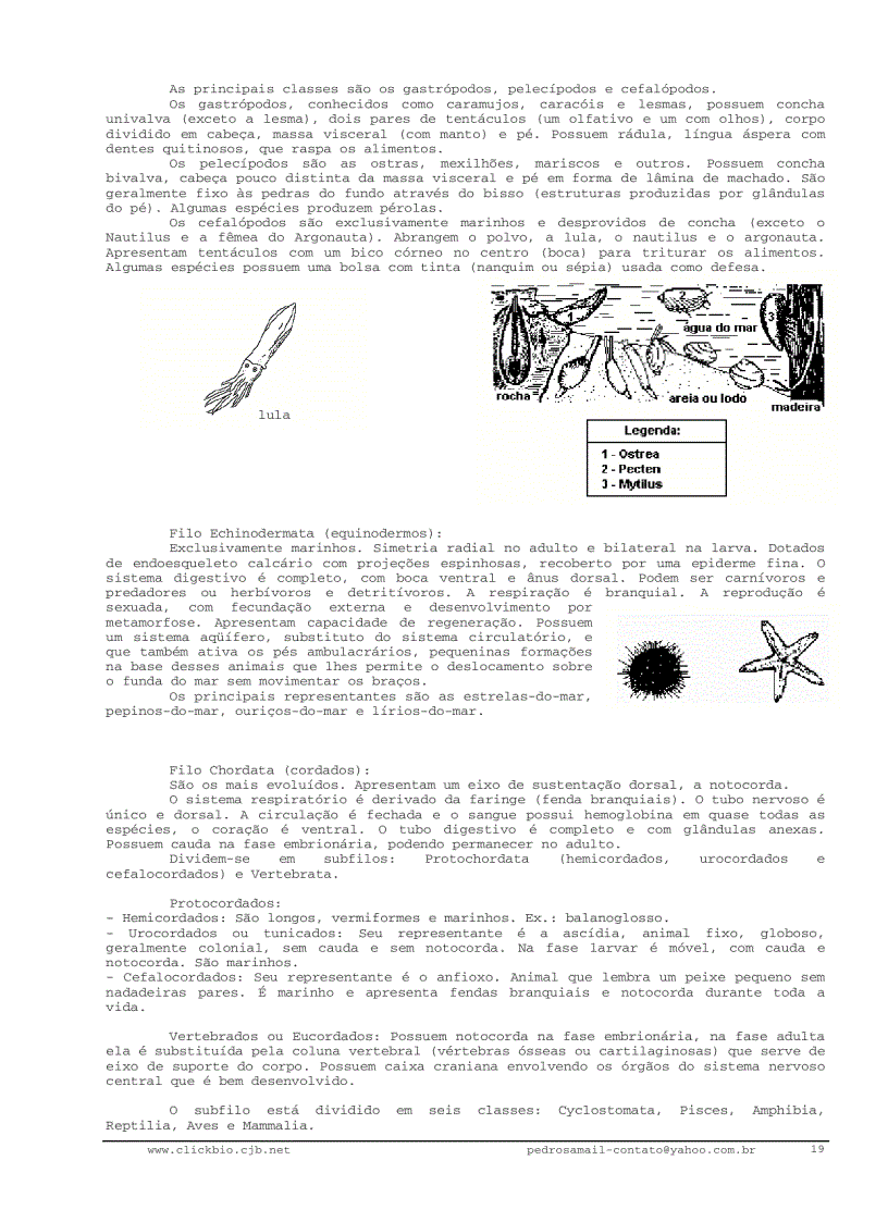 image for page Sinh học đại cương 2 Biologia geral 2