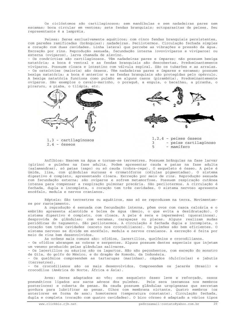 image for page Sinh học đại cương 2 Biologia geral 2