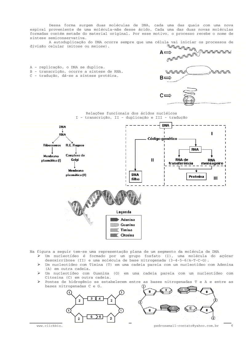 image for page Sinh học đại cương 3 Biologia geral 3