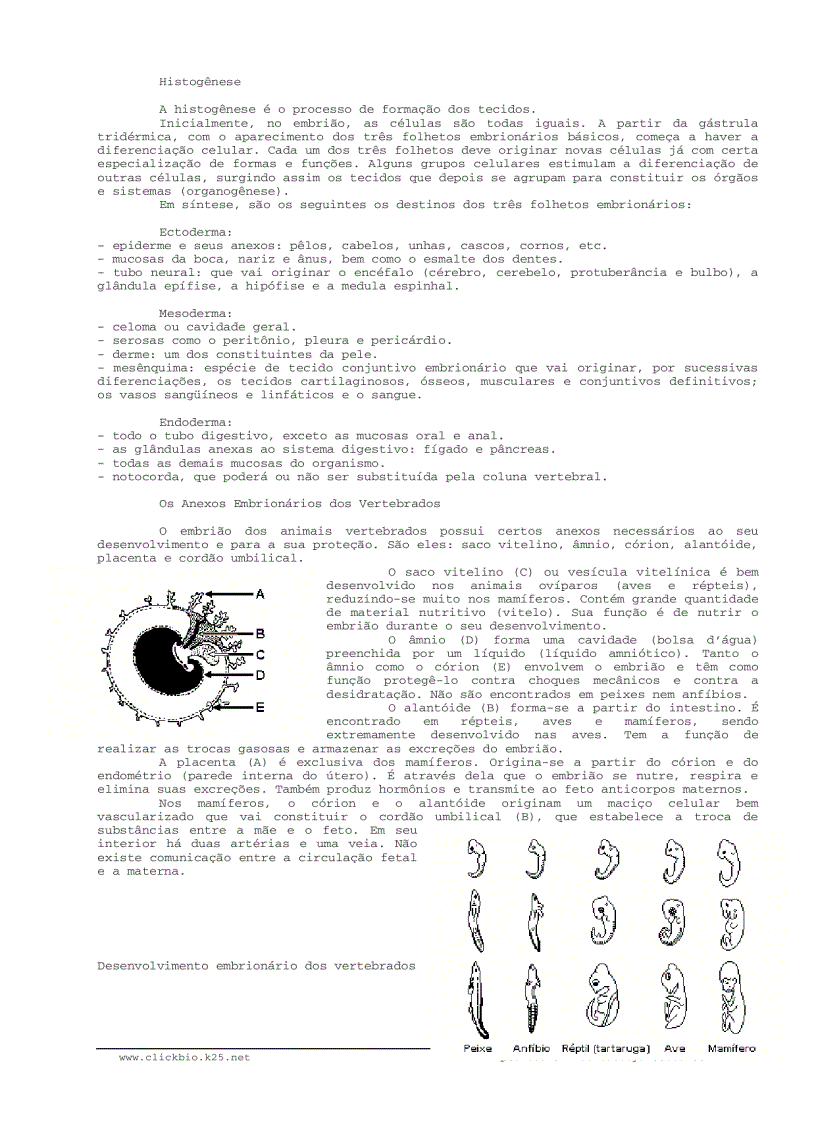 image for page Sinh học đại cương 3 Biologia geral 3
