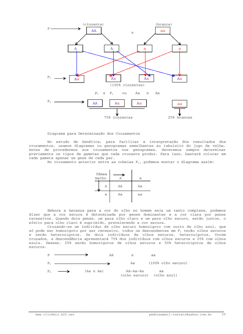 image for page Sinh học đại cương 3 Biologia geral 3