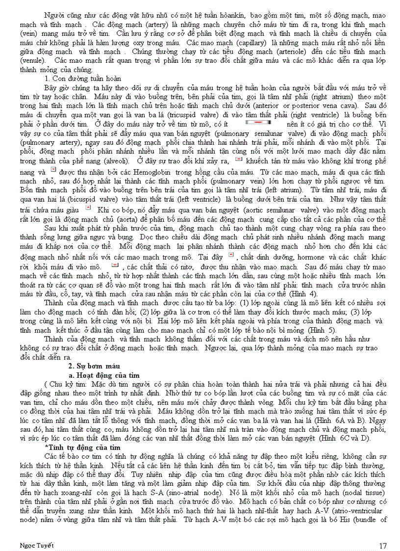 image for page Sinh học đại cương A 2 P2