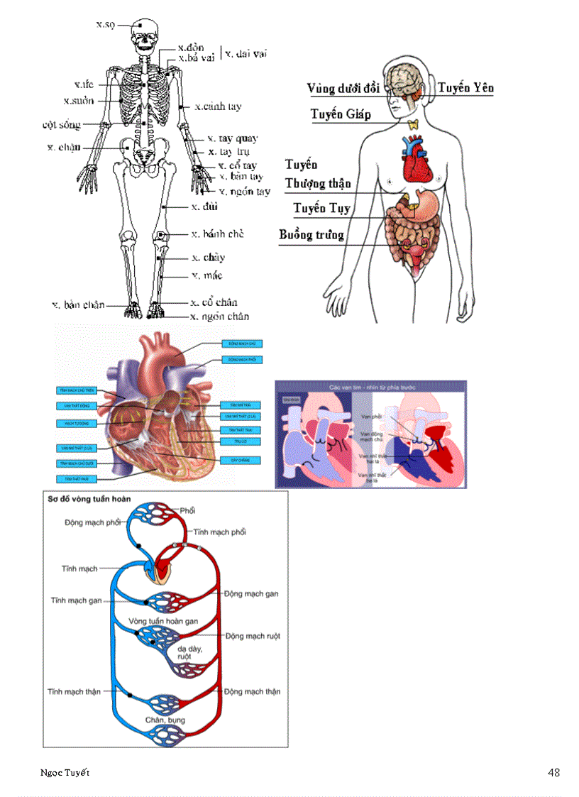 image for page Sinh học đại cương A 2 P2