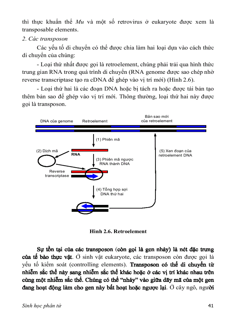 image for page Sinh hoc phan tu 2