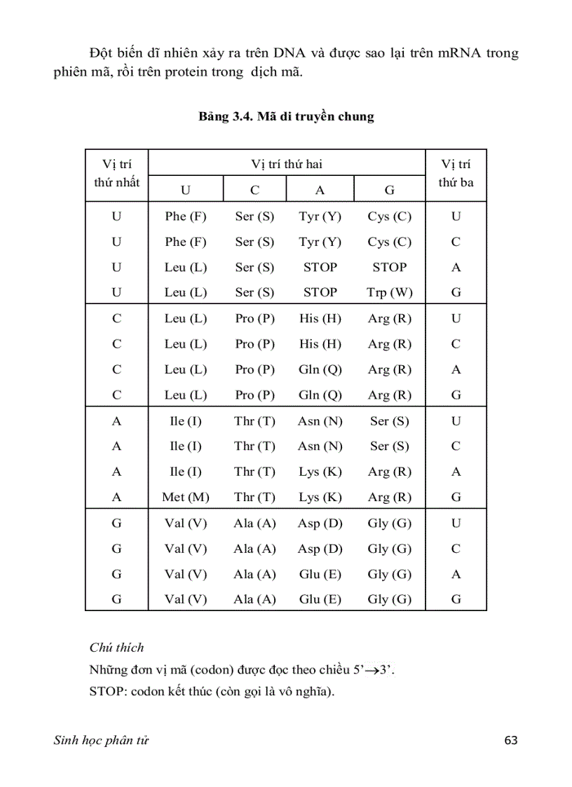 image for page Sinh hoc phan tu 3