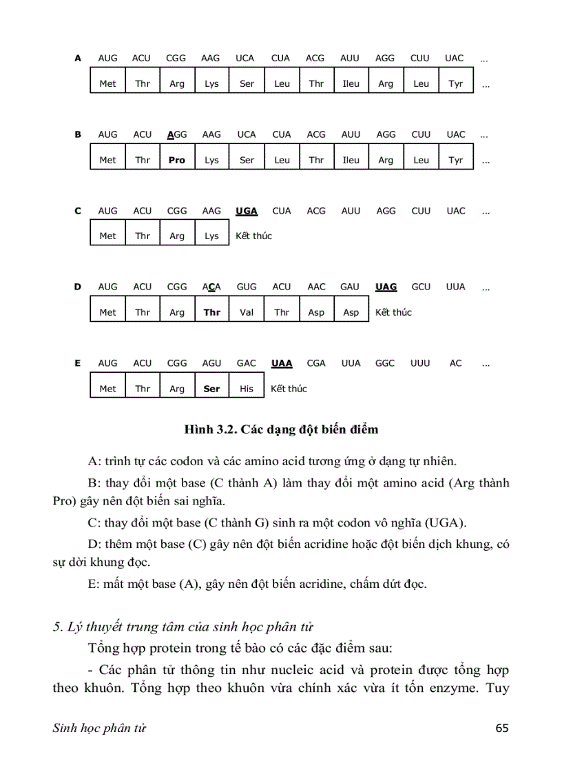 image for page Sinh hoc phan tu 3