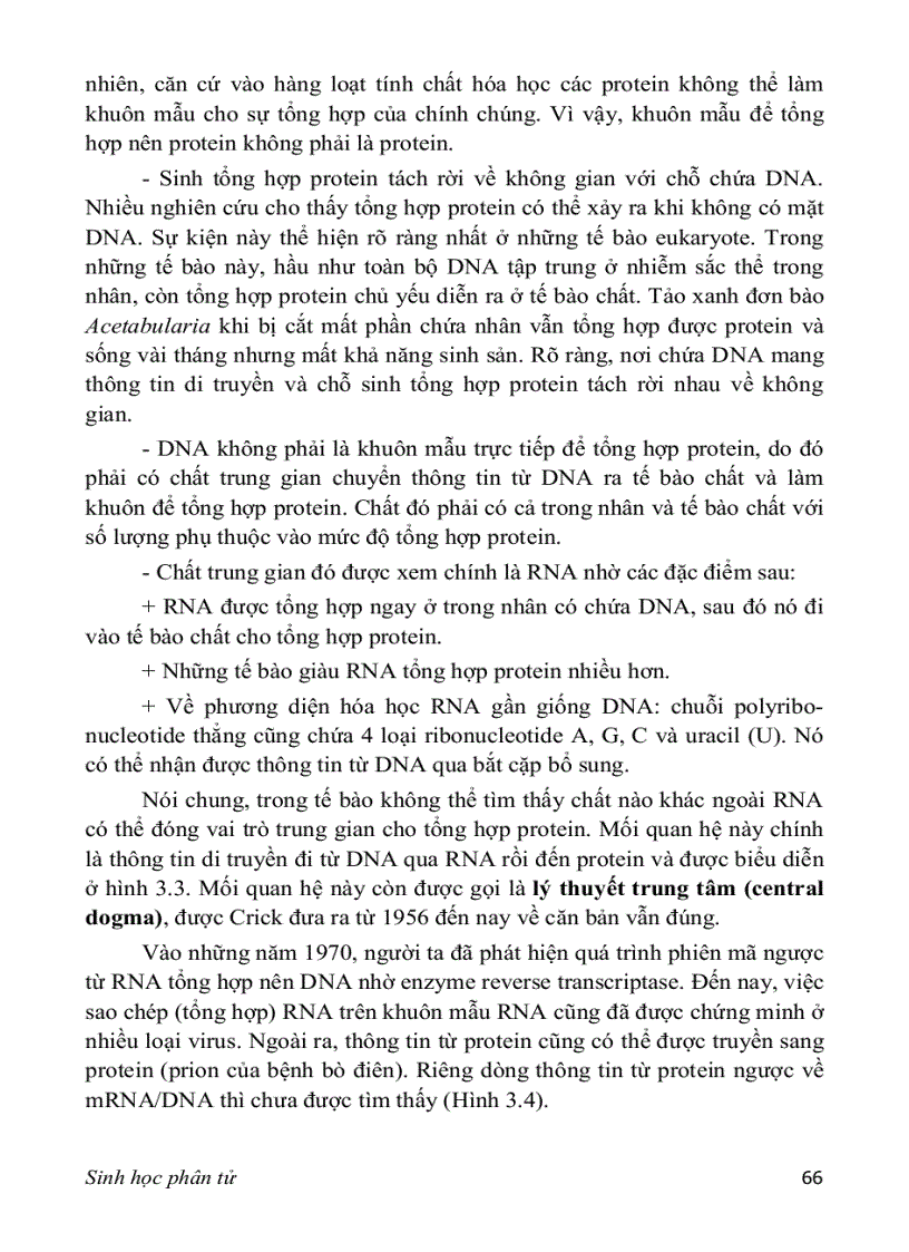 image for page Sinh hoc phan tu 3