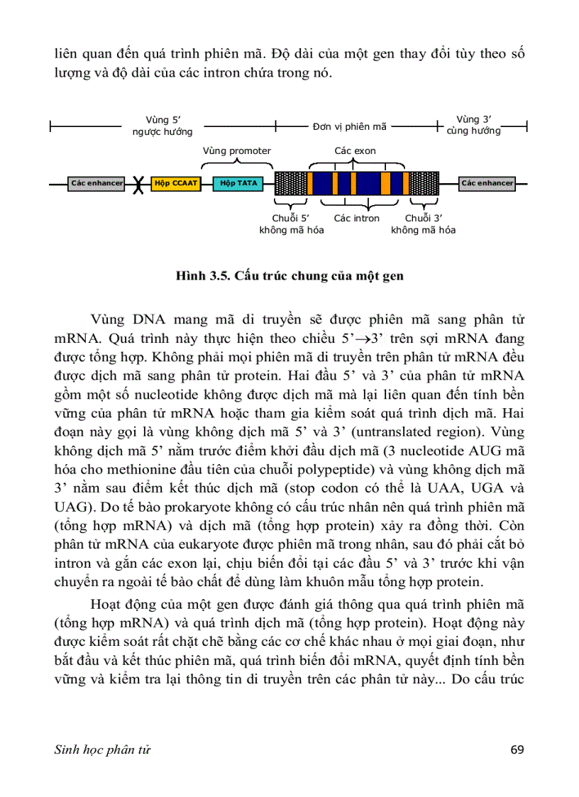 image for page Sinh hoc phan tu 3