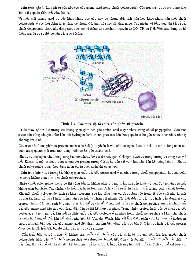 image for page Sinh hoc phân tử
